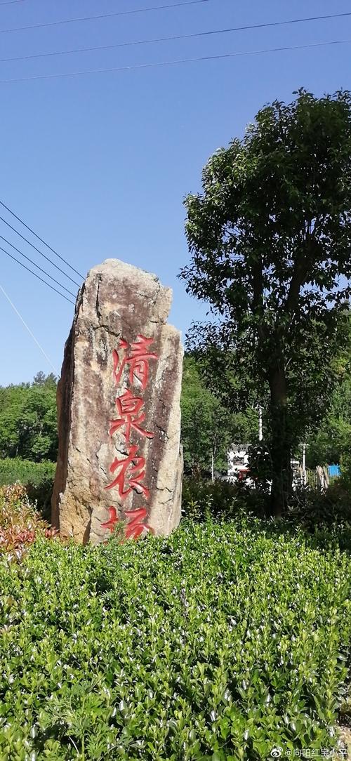 为樱而来樱你而动百亩车厘子观光采摘园欢迎您