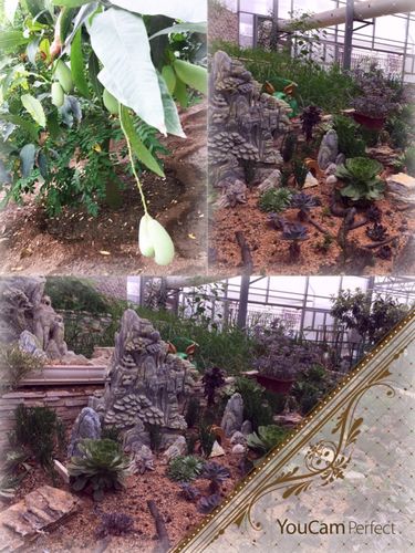 观光游览夏庄生态采摘园